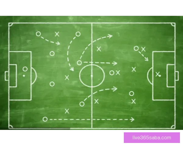 全面分析足球竞猜平台的运营模式与市场前景助您轻松赢得每一场竞猜游戏